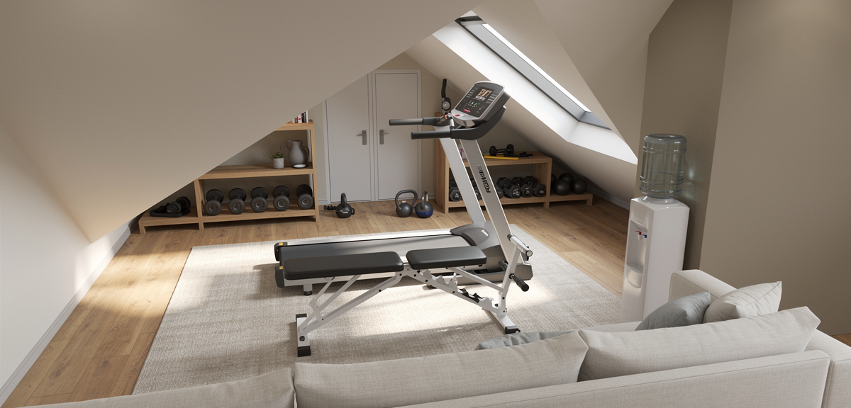 Transitional Home Gym Studio